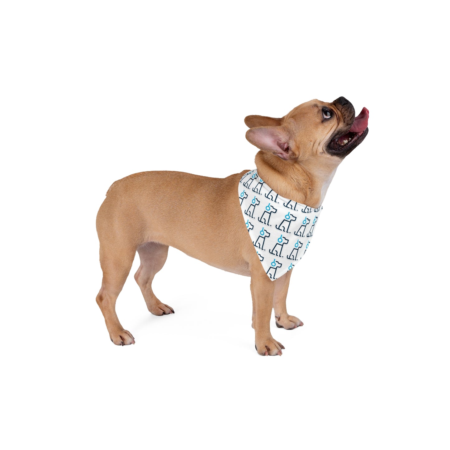 PAWNIX Step and Repeat Pet Bandana